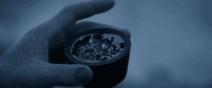 黑液 《普罗米修斯》黑液灵感来源解析:现实寄生物种与基因劫持机制